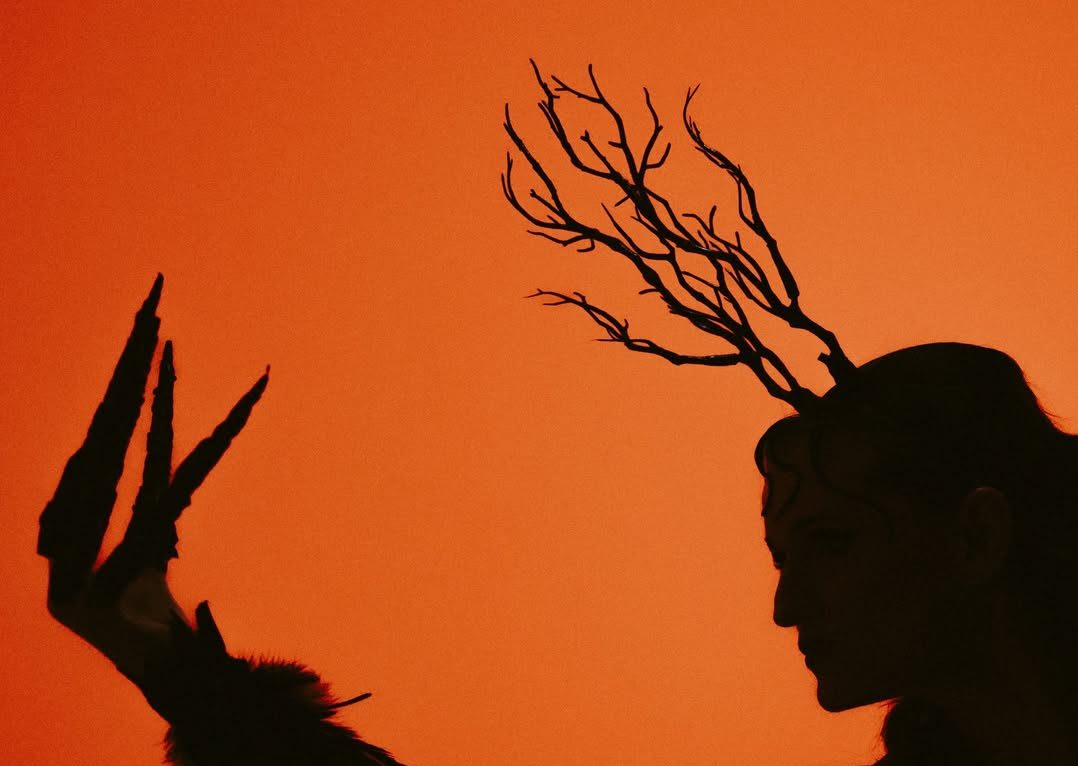 Eurowizja 2026: Polskie preselekcje bez występów „na żywo”. Basia Giewont komentuje: „Jest mi bardzo przykro” • Znamy kolejne utwory konkursu